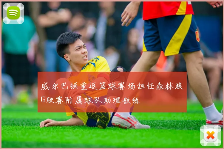 威尔巴顿重返篮球赛场担任森林狼G联赛附属球队助理教练