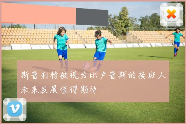 斯普利特被视为比卢普斯的接班人未来发展值得期待