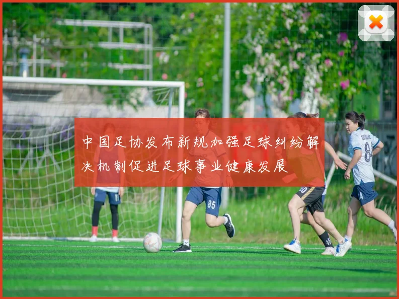 中国足协发布新规加强足球纠纷解决机制促进足球事业健康发展